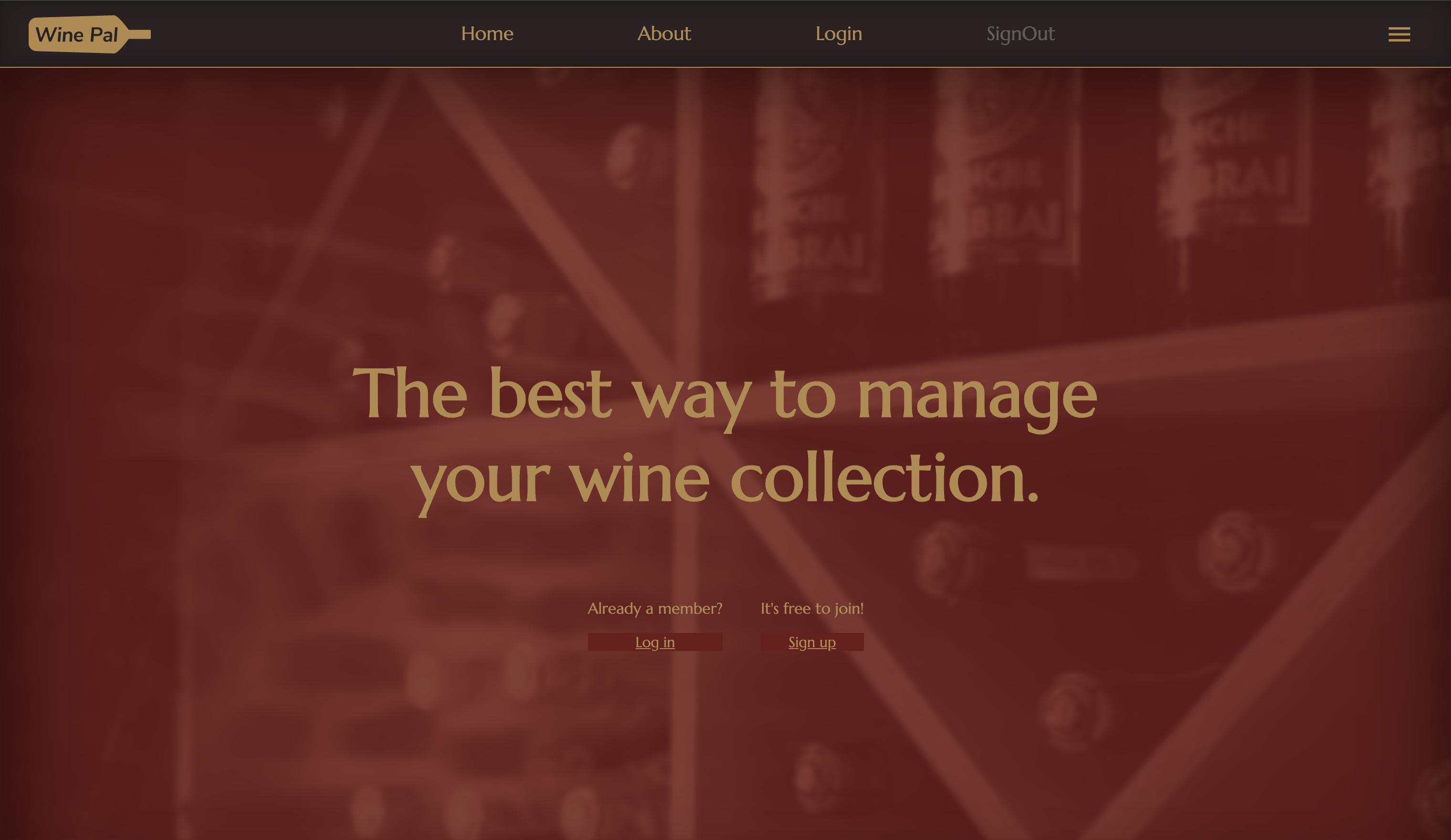 Portfolio Website Picture